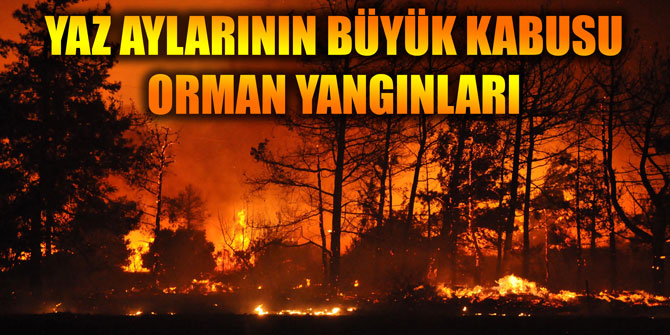 YAZ AYLARININ BÜYÜK KABUSU ORMAN YANGINLARI