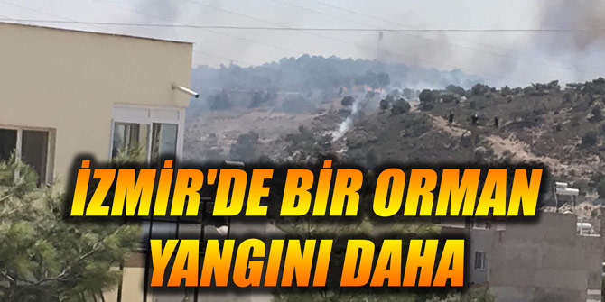 İzmir'de bir orman yangını daha