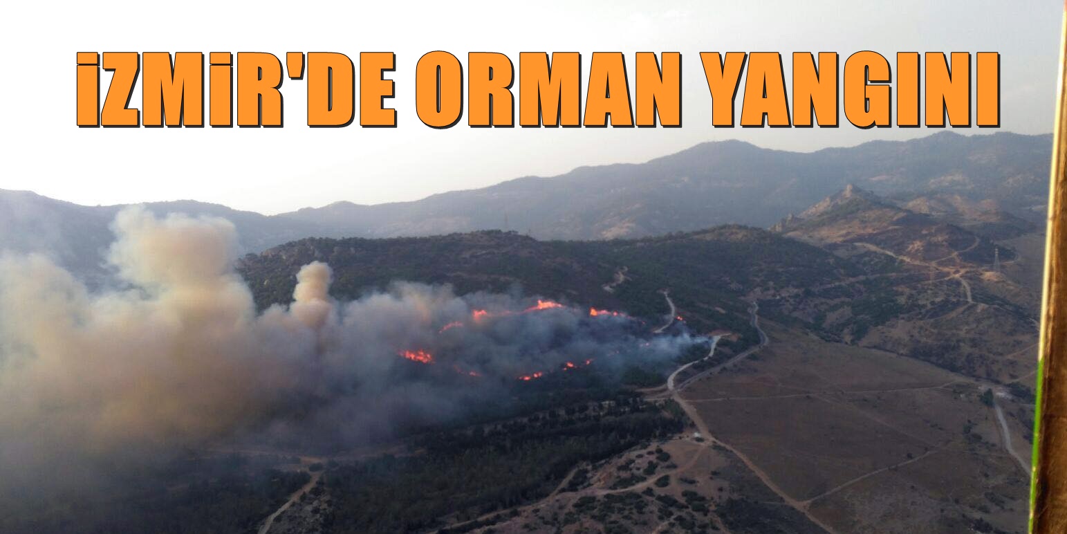 İzmir Karşıyaka'da yine orman yandı