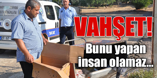 Vahşet! Bunu yapan insan olamaz!