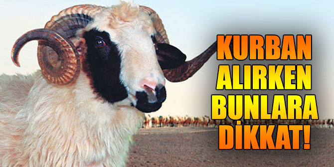 Kurban alırken dikkat