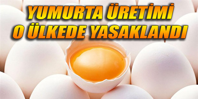 Yumurta üretimi o ülkede yasaklandı