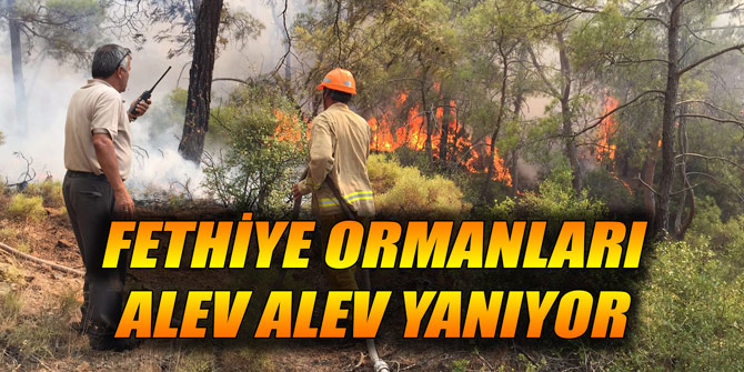 Fethiye ormanları alev alev yanıyor