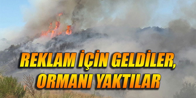 Reklam için geldiler, ormanı yaktılar