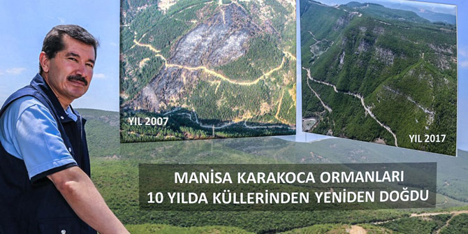 10 Yıl Sonra Küllerinden Yeniden Doğdu
