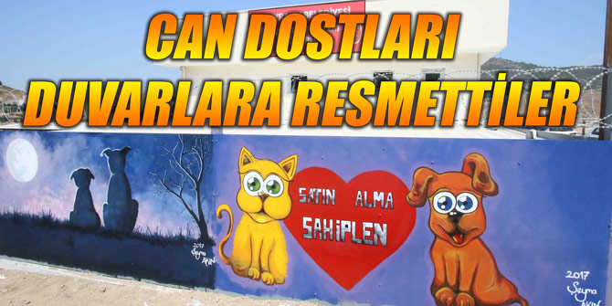 Can dostları duvarlara resmettiler