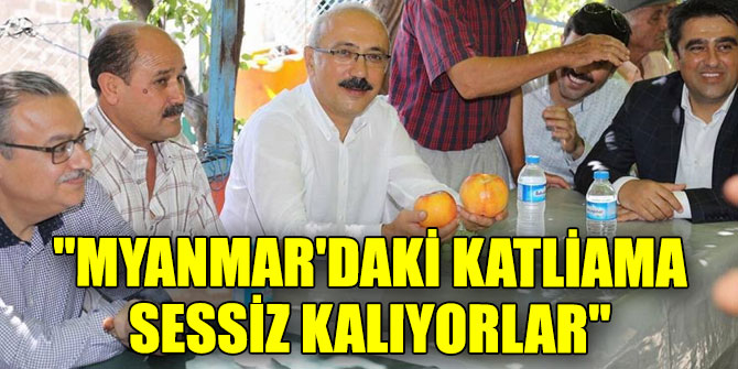 "Myanmar'daki katliama sessiz kalıyorlar"