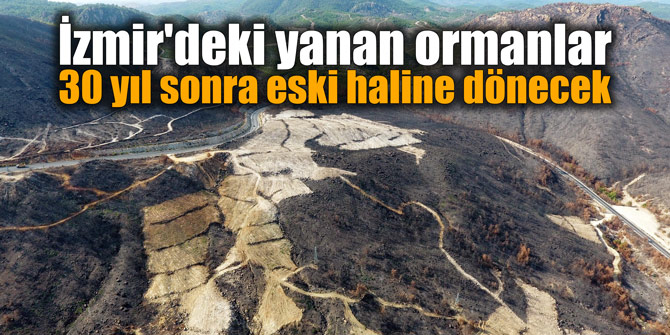 İzmir'deki yanan ormanlar 30 yıl sonra eski haline dönecek