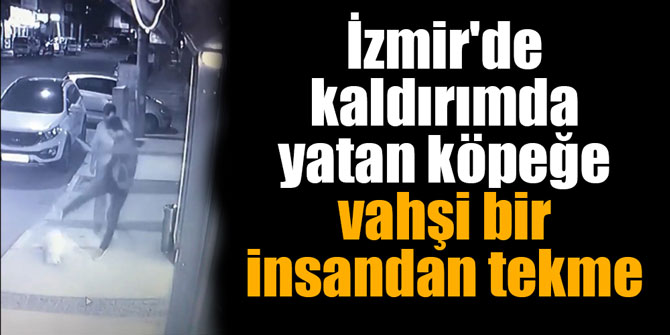 İzmir'de kaldırımda yatan köpeğe vahşi bir insandan tekme