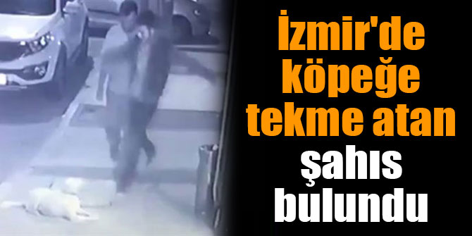 İzmir'de köpeğe tekme atan şahıs bulundu