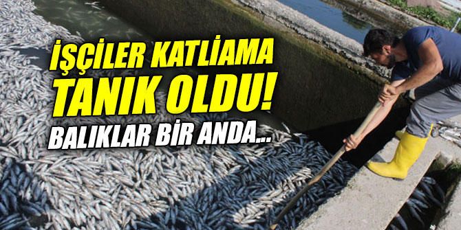 İşçiler katliama tanık oldu!