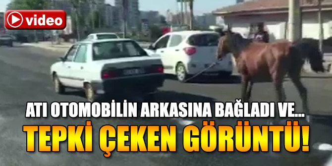 Yürek sızlatan görüntü!