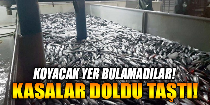 Koyacak yer bulamadılar!