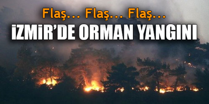Flaş... İzmir'de orman yangını