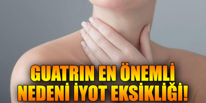 Guatrın en önemli nedeni iyot eksikliği!
