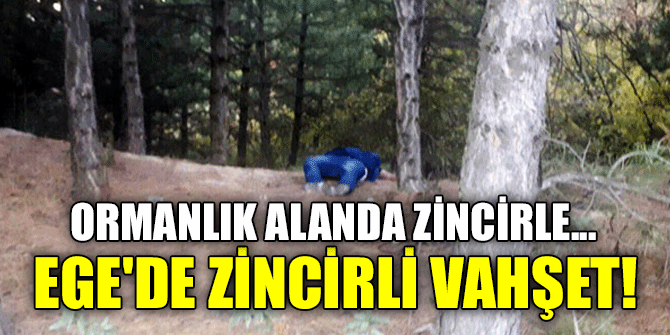Ege'de zincirli vahşet!