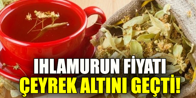 lhlamur çeyrek altını geçti