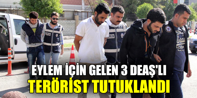 Eylem için gelen 3 DEAŞ'lı terörist tutuklandı