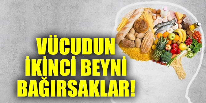 Vücudun ikinci beyni bağırsaklar!