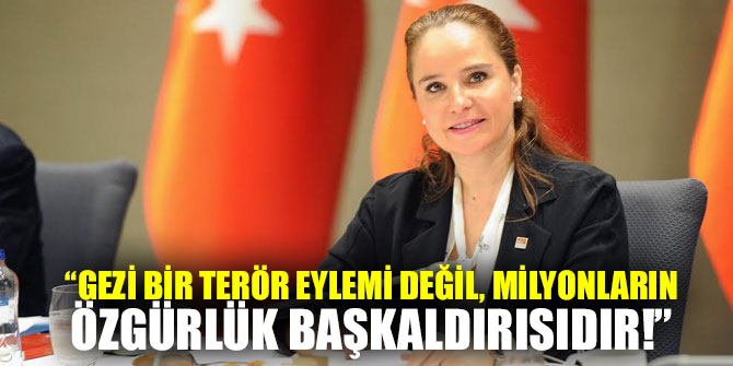“GEZİ BİR TERÖR EYLEMİ DEĞİL, MİLYONLARIN ÖZGÜRLÜK BAŞKALDIRISIDIR!”