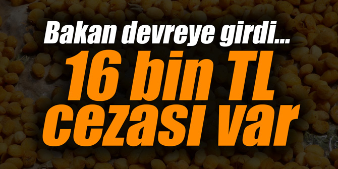 Bakan devreye girdi... 16 bin TL cezası var
