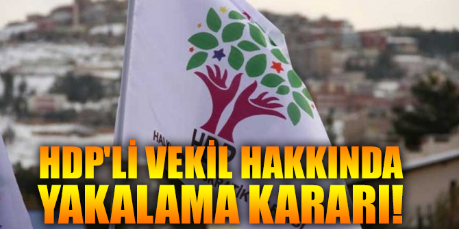 HDP'li vekil hakkında yakalama kararı