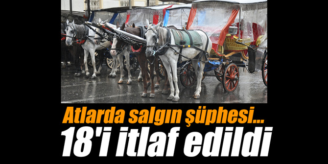 Atlarda salgın şüphesi... 18'i itlaf edildi