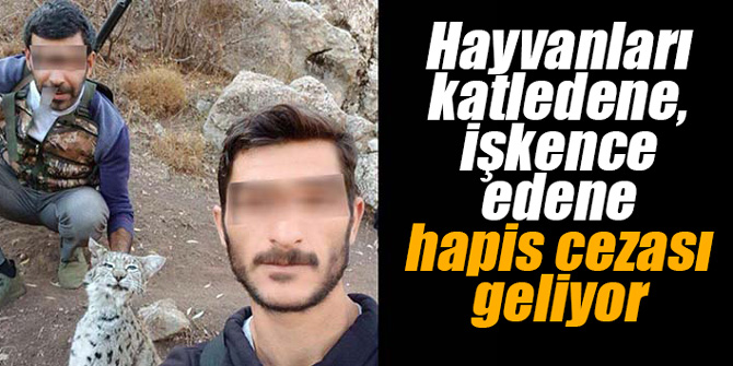 Hayvan katledene, işkence edene hapis cezası geliyor