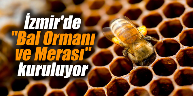 İzmir'de "Bal Ormanı ve Merası" kuruluyor