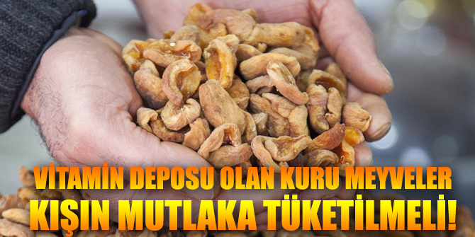 Vitamin deposu olan kuru meyveler kışın mutlaka tüketilmeli!