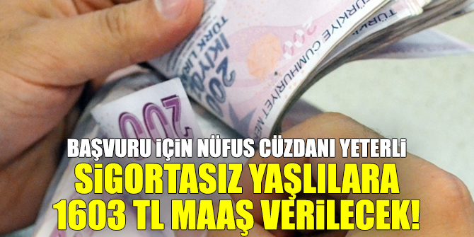 Başvuru için nüfus cüzdanı yeterli... Sigortasız yaşlılara 1603 TL maaş verilecek!
