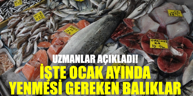 Uzmanlar açıkladı! İşte ocak ayında yenmesi gereken balıklar