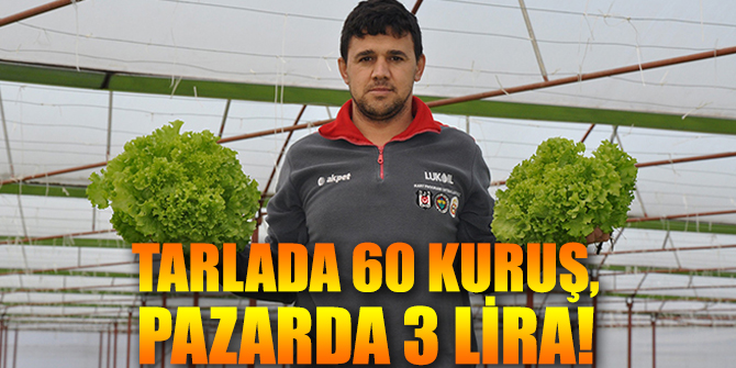 Tarlada 60 kuruş, pazarda 3 lira