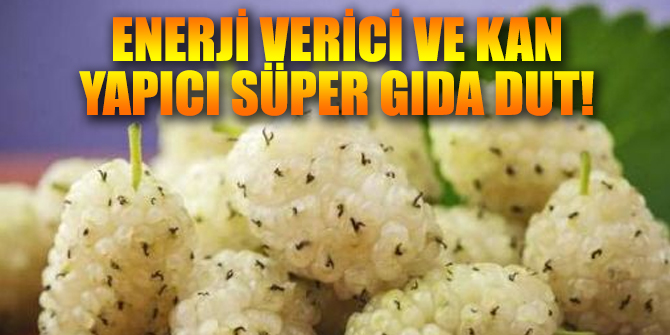 Uzmanlar açıkladı! Enerji verici ve kan yapıcı süper gıda dut