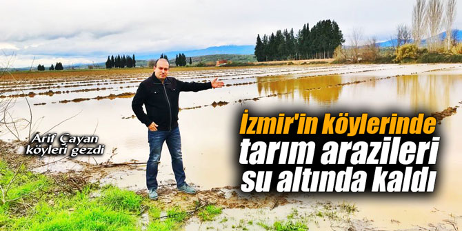 İzmir'in köylerinde tarım arazileri su altında kaldı
