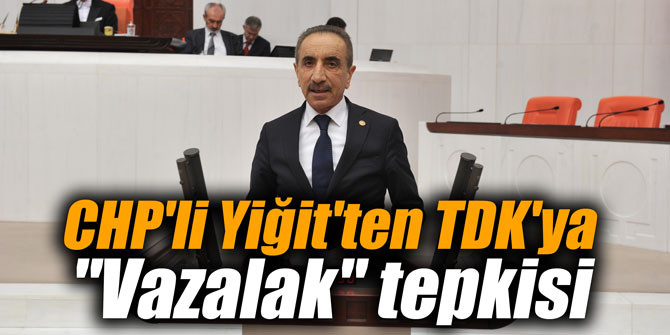 CHP'li Yiğit'ten TDK'ya "Vazalak" tepkisi