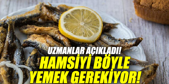 Uzmanlar açıkladı! Hamsiyi böyle yemek gerekiyor!