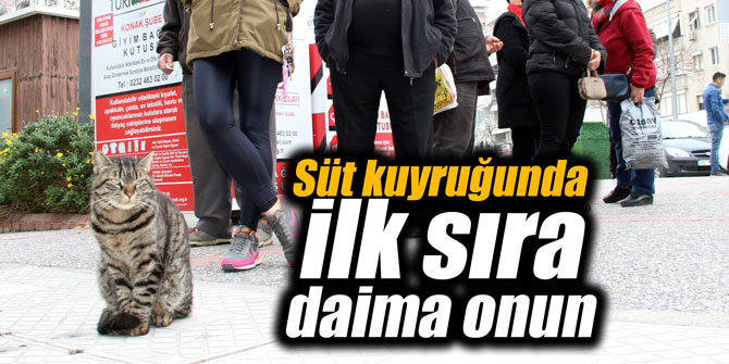 Süt kuyruğunda ilk sıra daima onun