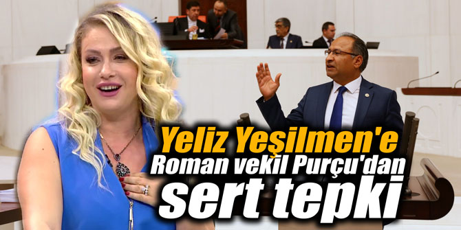 Yeliz Yeşilmen'e Roman vekil Purçu'dan sert tepki