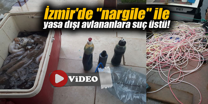 İzmir'de "nargile" ile yasa dışı avlananlara suç üstü!