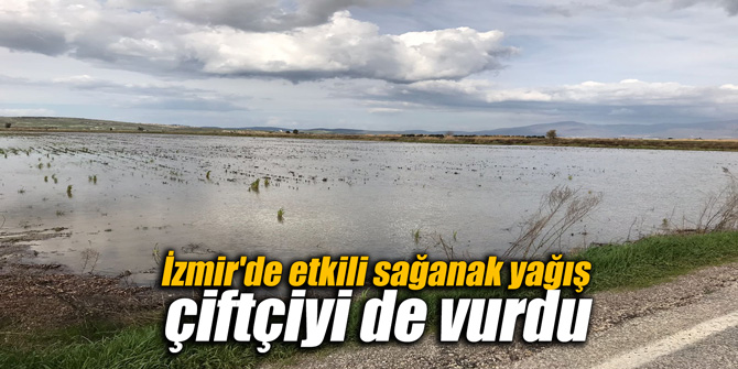İzmir'de etkili sağanak yağış çiftçiyi de vurdu