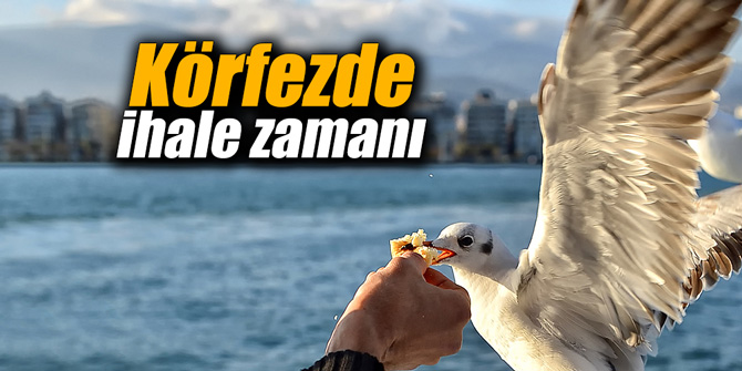 İzmir Körfezi'nde ihale zamanı