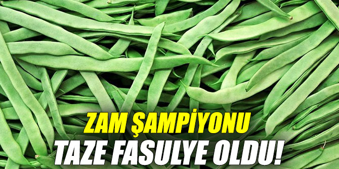 Zam şampiyonu taze fasulye oldu