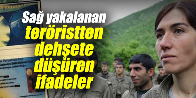 Sağ yakalanan PKK-PYD’li teröristten dehşete düşüren açıklamalar
