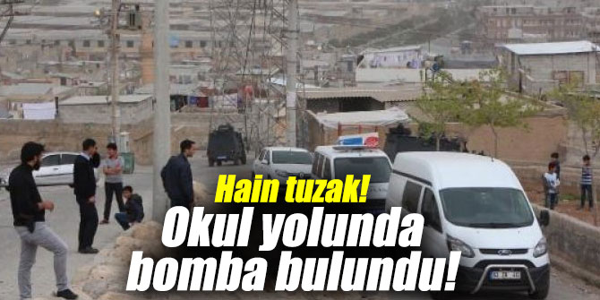 Hain tuzak! Okul yolunda bomba bulundu!