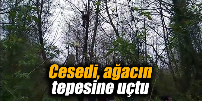 Cesedi ağacın tepesine uçtu