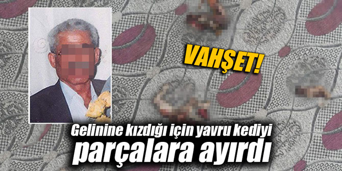 Gelinine kızdığı için yavru kediyi parçalara ayırdı