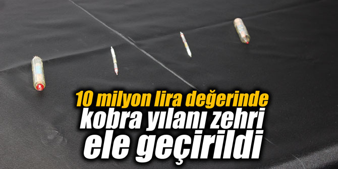 10 milyon lira değerinde kobra yılanı zehri ele geçirildi