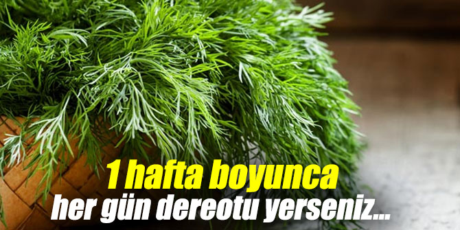 1 hafta boyunca her gün dereotu yerseniz... Etkilerine inanamayacaksınız