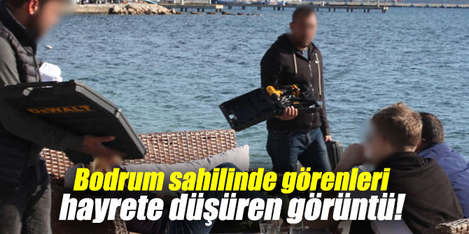 Bodrum sahilinde görenleri hayrete düşüren görüntü!